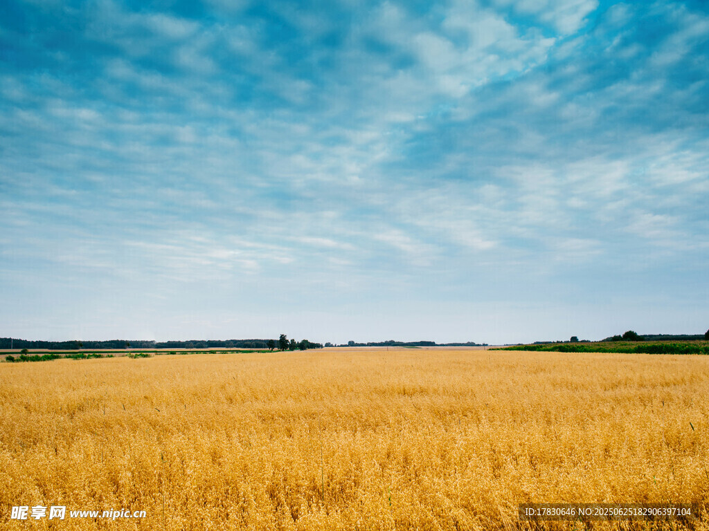 天空图片