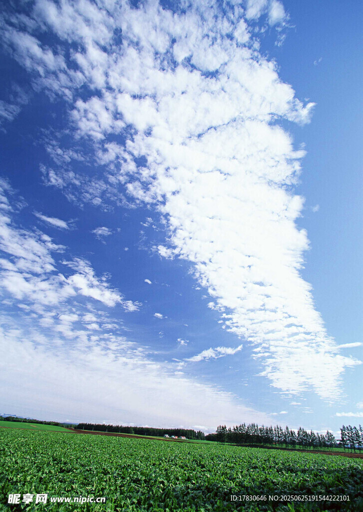 蓝天绿野田园风光美景