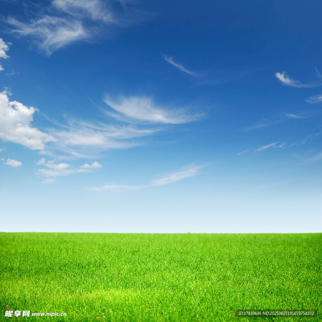 广阔绿草地与蔚蓝天空