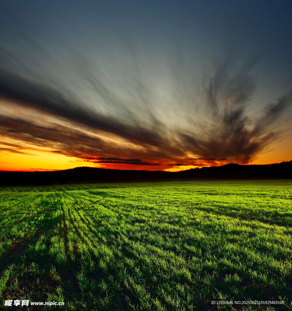 夕阳下的翠绿田野美景