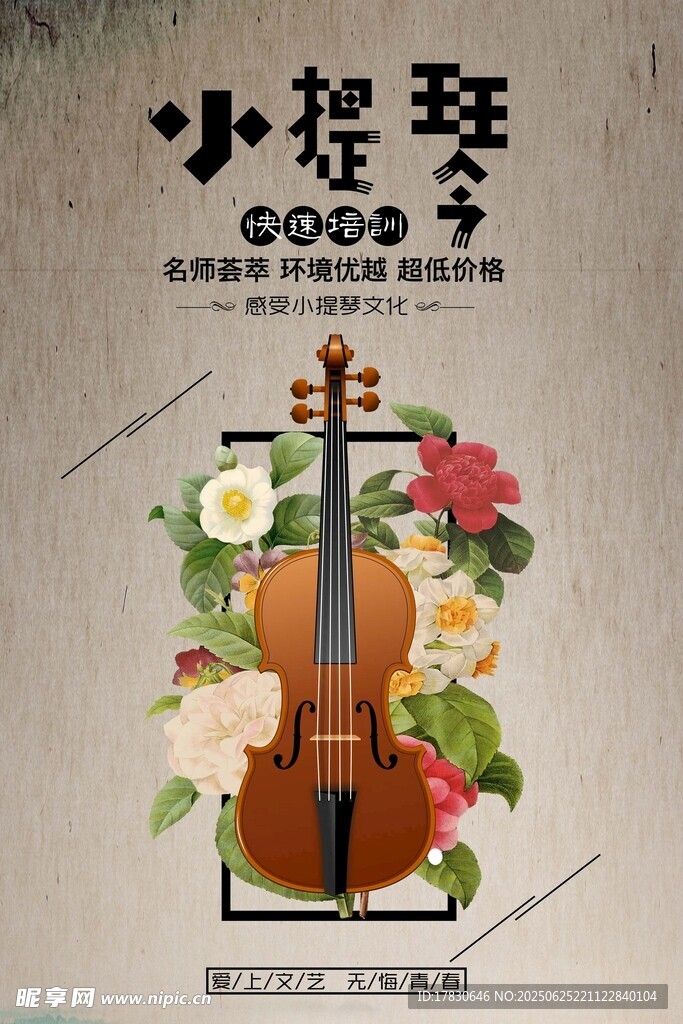 古典小提琴与花卉装饰图