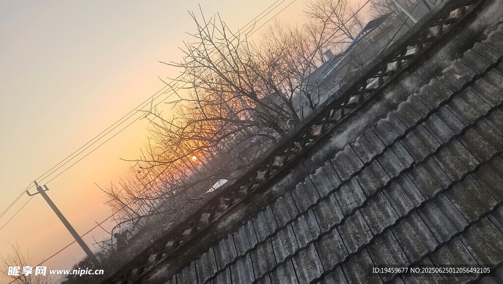 夕阳下的屋顶与光秃树木