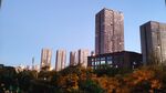 城市天际线