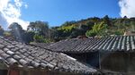 农村风光