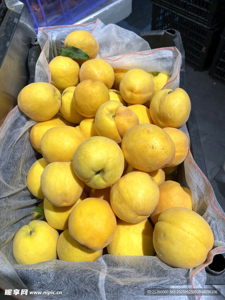 黄桃