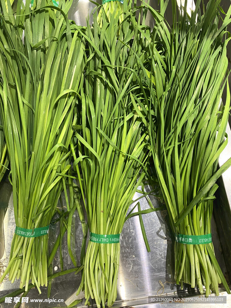 新鲜捆扎韭菜