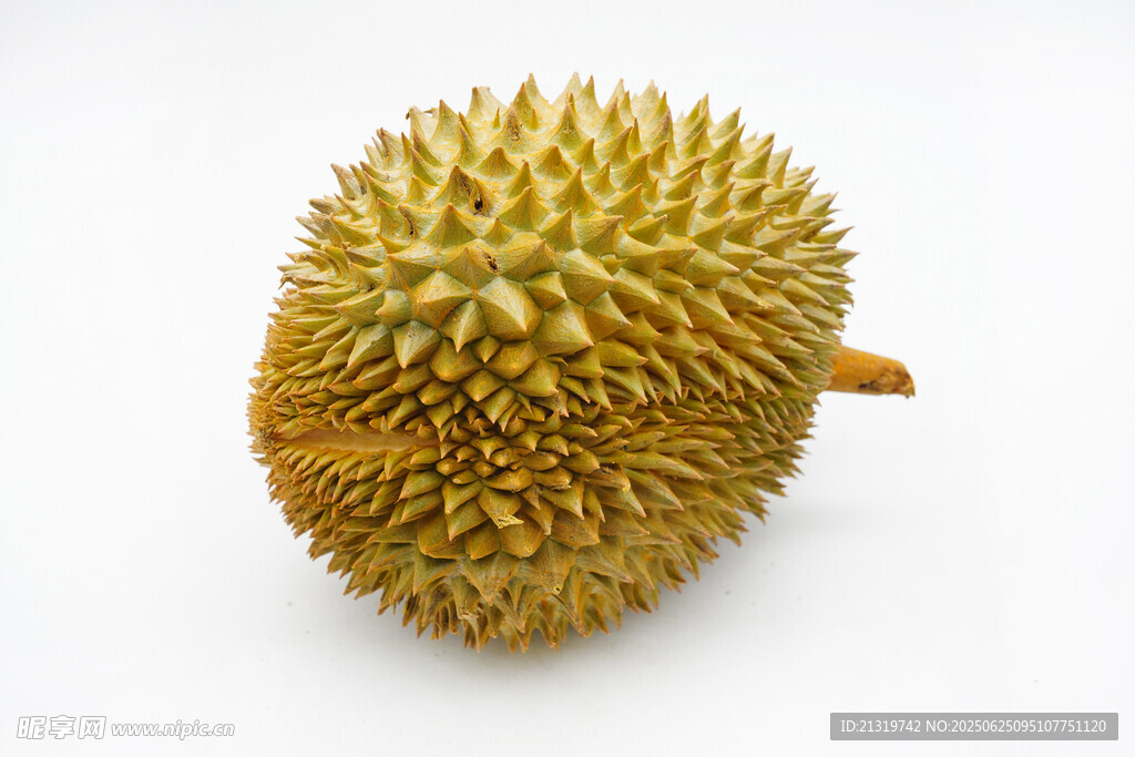 金黄饱满的新鲜榴莲