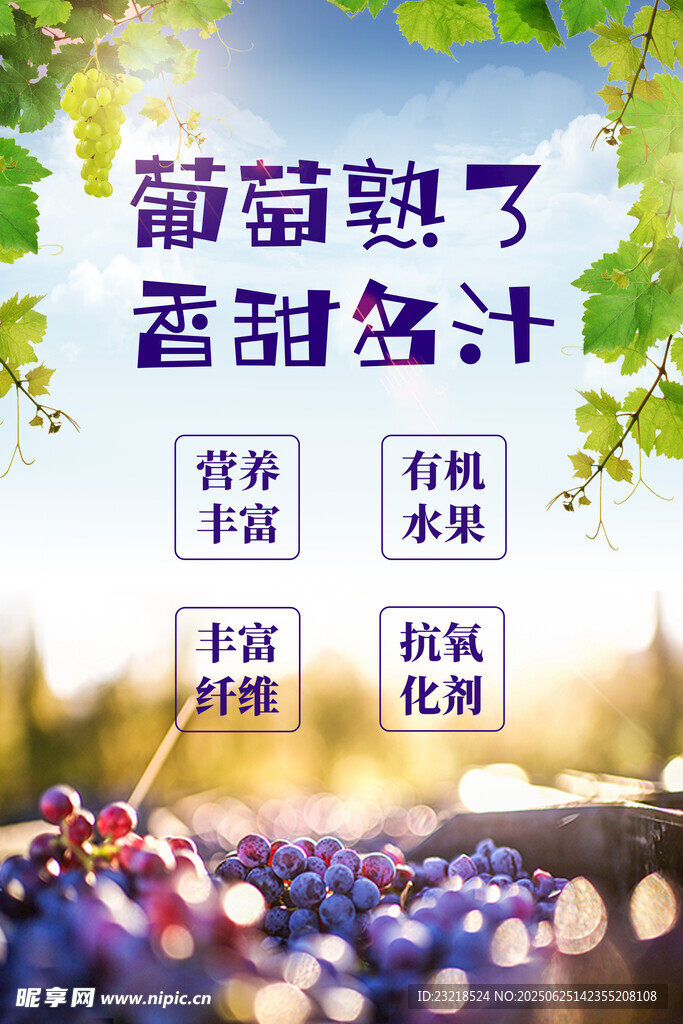 葡萄海报