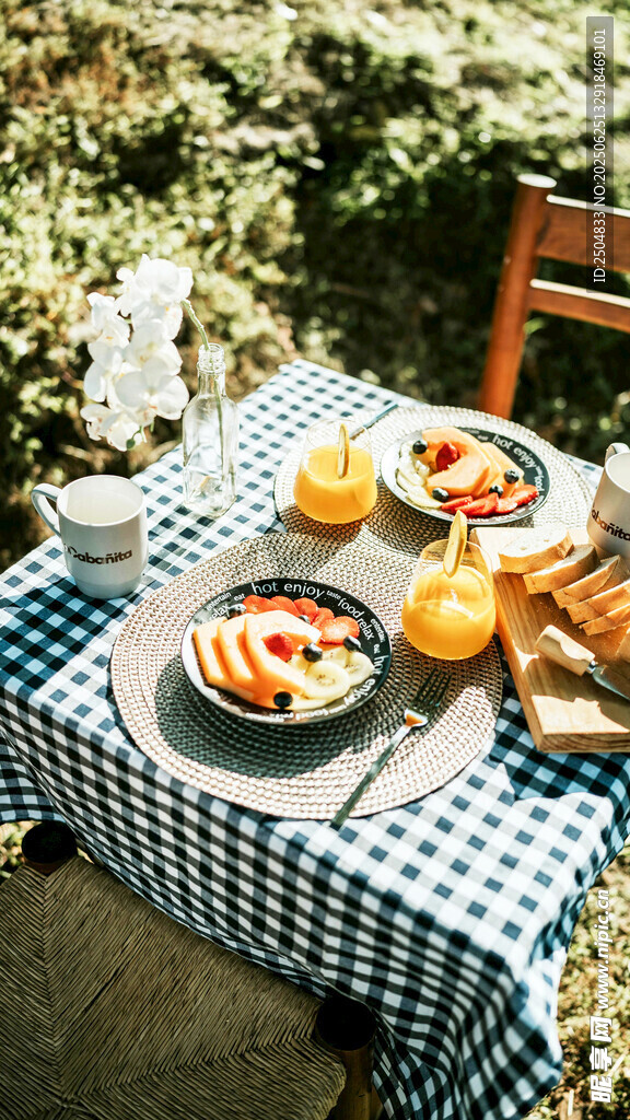 户外野餐场景 美食与自然