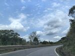 蜿蜒公路旁的葱郁景致