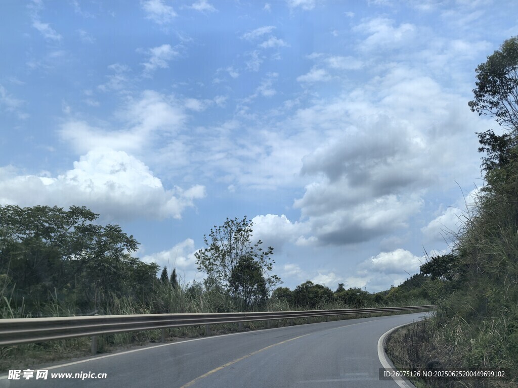 蜿蜒公路旁的葱郁景致