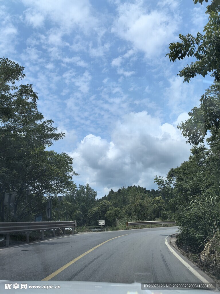 蜿蜒公路旁的葱郁景致
