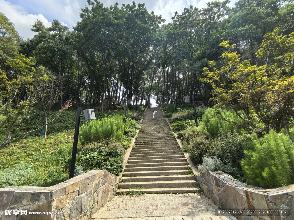 山间石阶小径