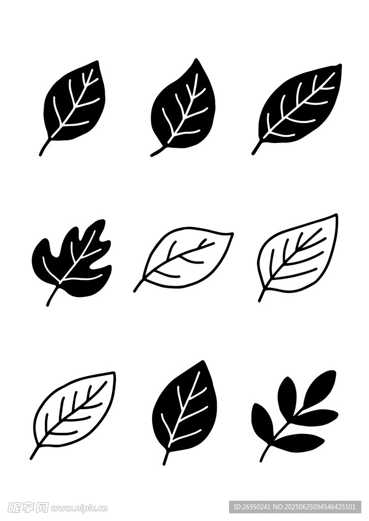 叶子插画