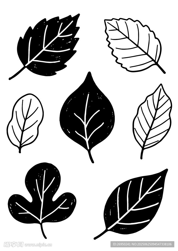 叶子插画