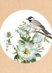 花卉花鸟图