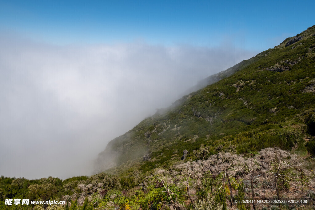 山间云雾缭绕的秀丽景致