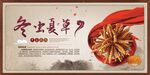 中国风冬虫夏草药材模板展板