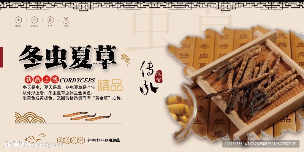 中国风冬虫夏草药材展板