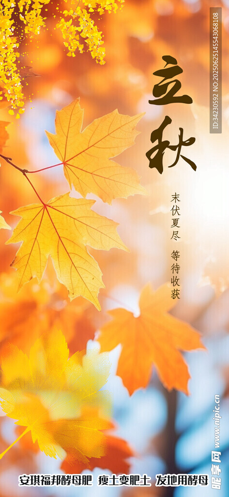 立秋