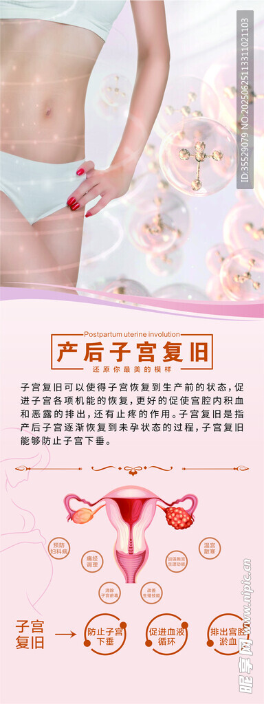 产后子宫复旧