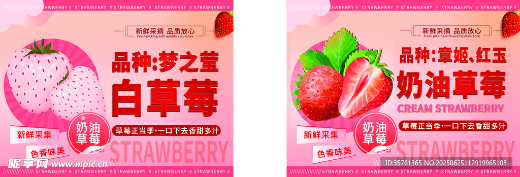 草莓