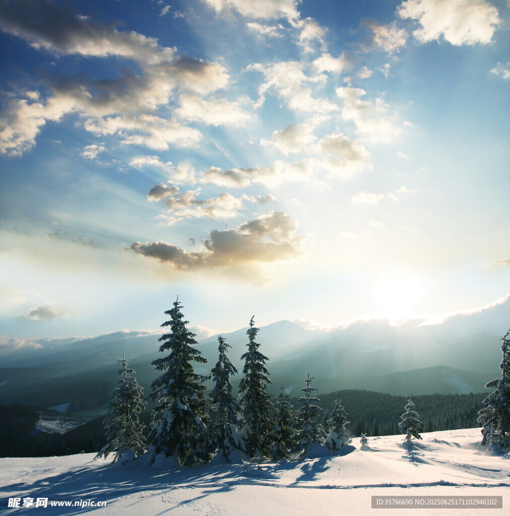 冬日雪山松林阳光美景