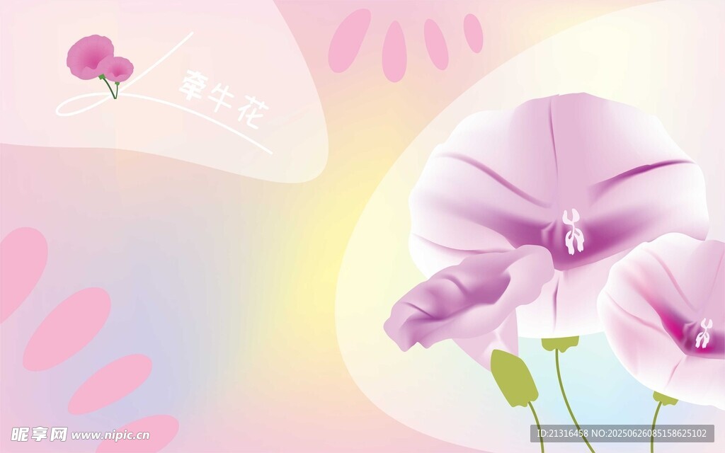 牵牛花 矢量