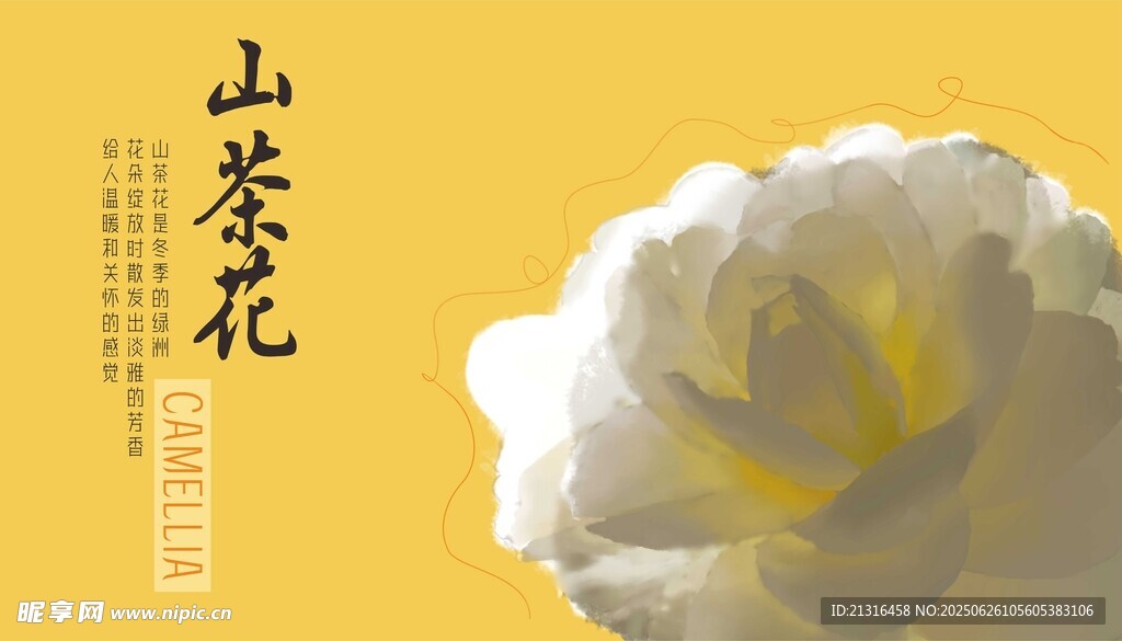 山茶花 矢量