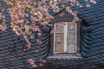 屋顶花窗