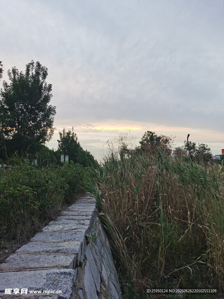 黄昏木栈道旁的绿植景观