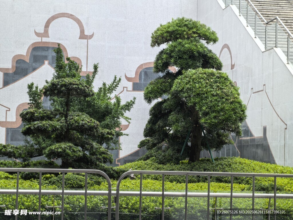 精致造型盆景