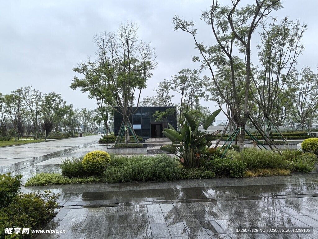 暴雨中积水的户外场景