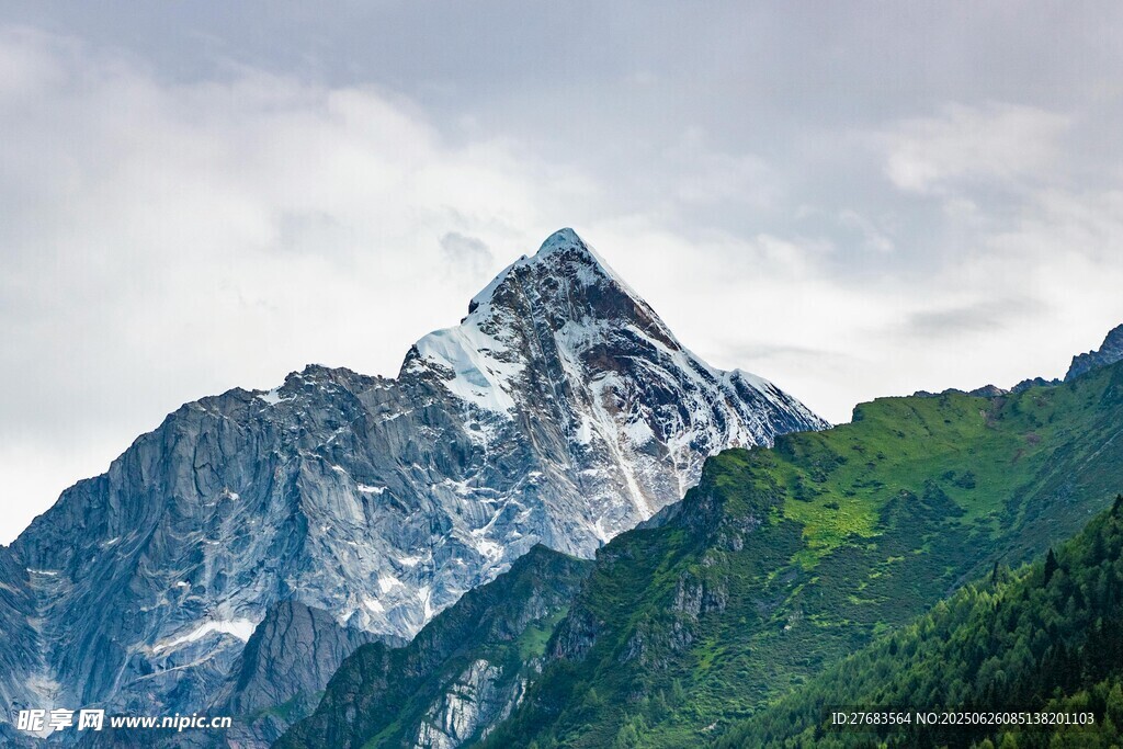 巍峨雪山与葱郁山林
