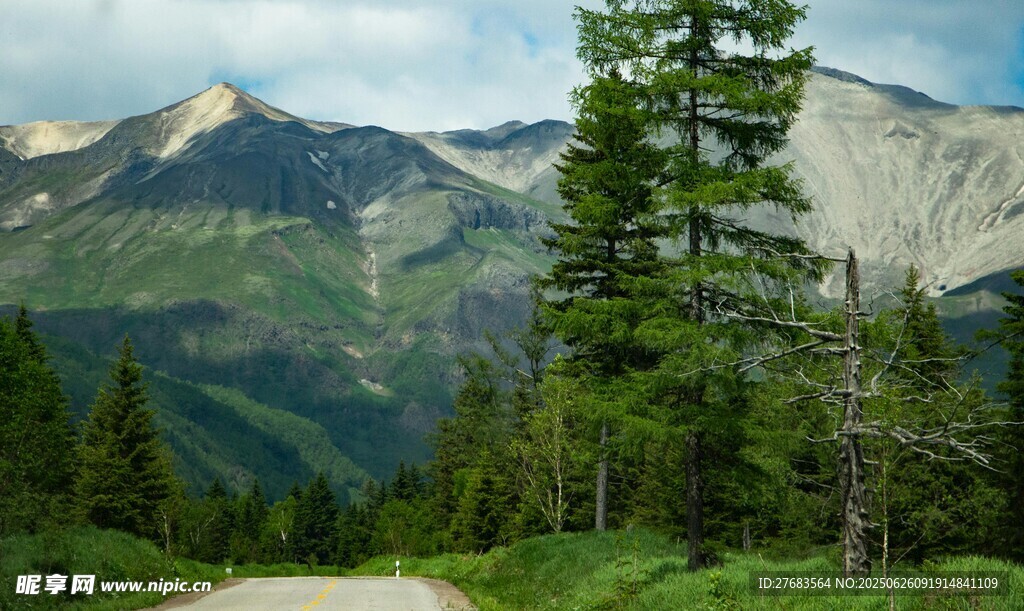 山间小路旁的秀丽山林景色