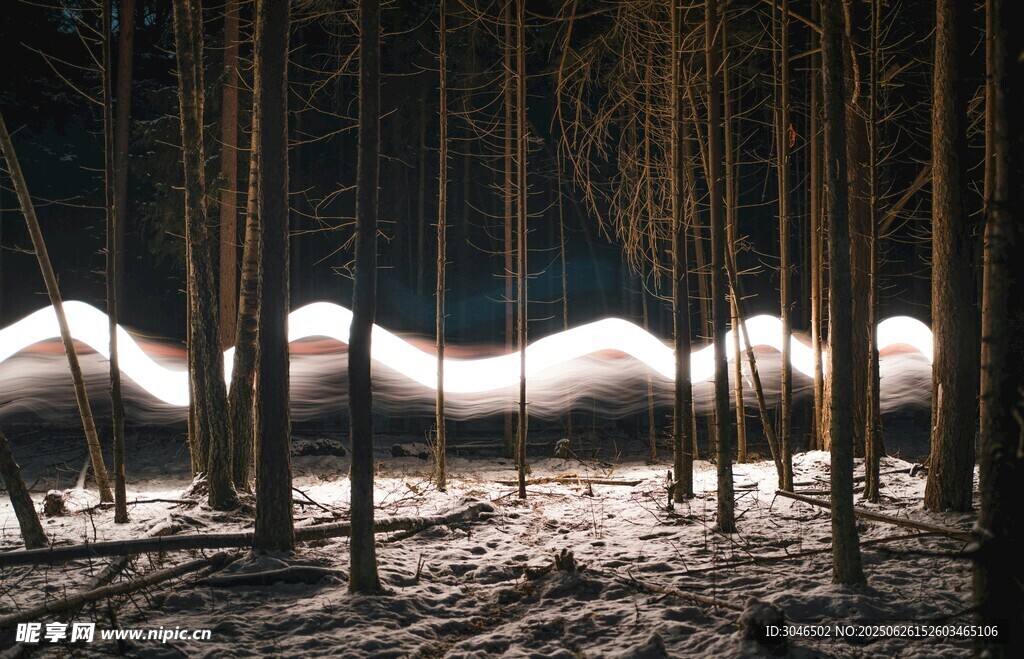 雪覆竹林景