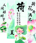 荷花 竖幅 美陈