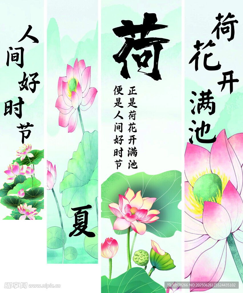荷花 竖幅 美陈