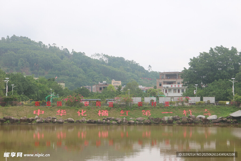 中国化橘红第一村大岭村