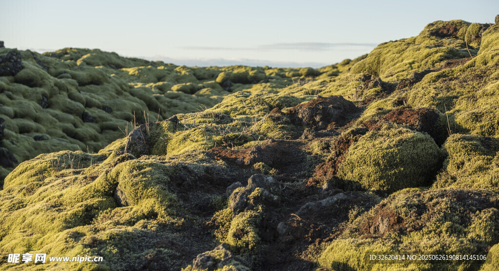 苔藓覆盖的嶙峋山地景观