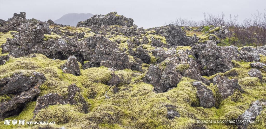 覆绿苔藓的嶙峋岩石