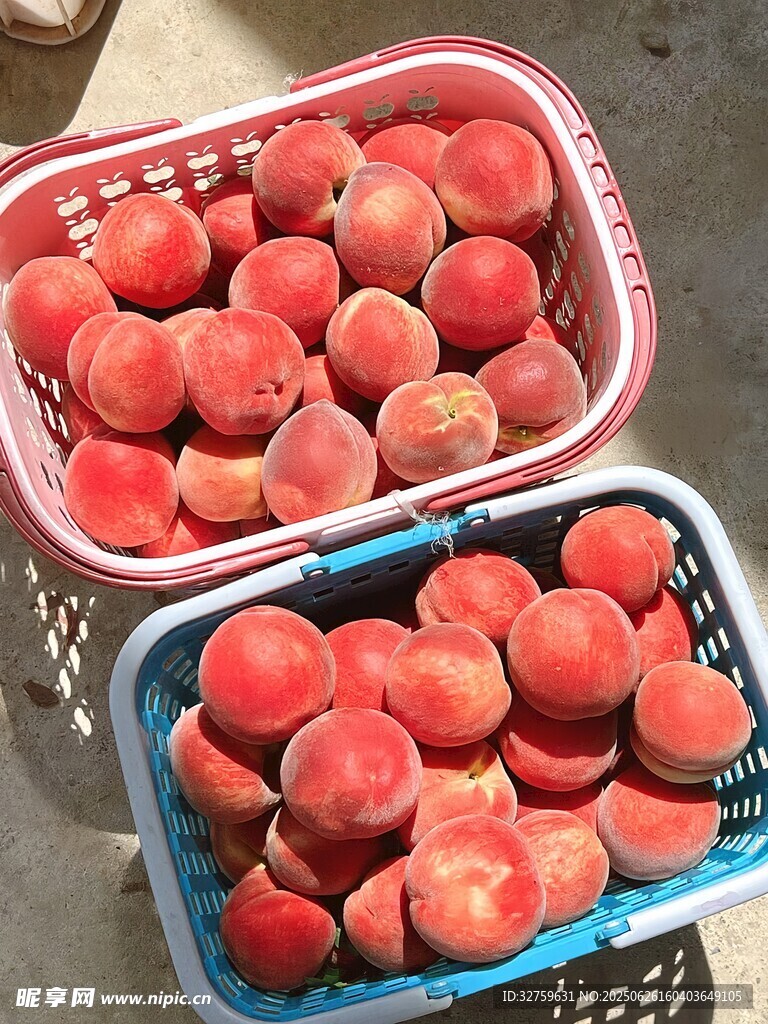 两筐鲜桃