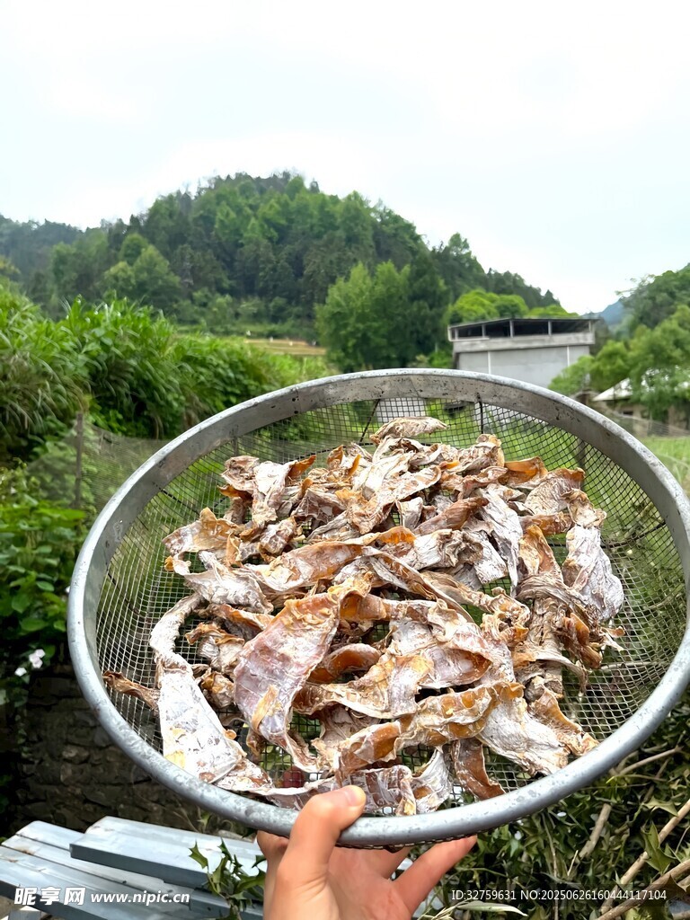 满满一盆鲜鱼获
