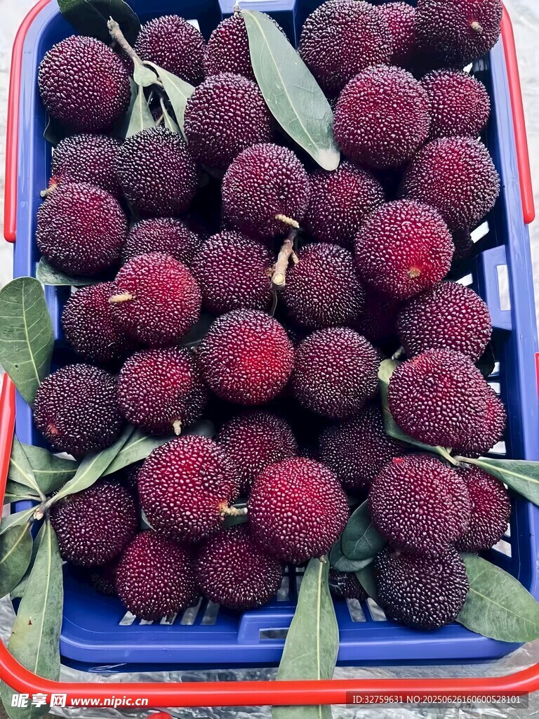 新鲜饱满的杨梅