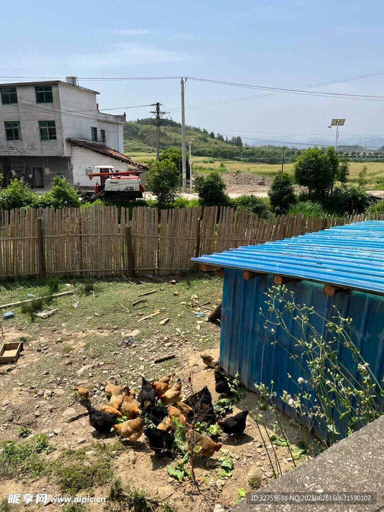 乡村小院一角