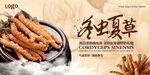 中医养生冬虫夏草展板设计
