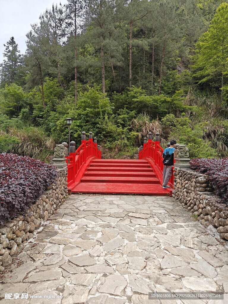 山间红桥引向绿意景致