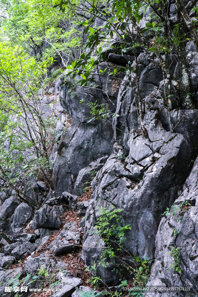 山间岩石与繁茂绿植景观