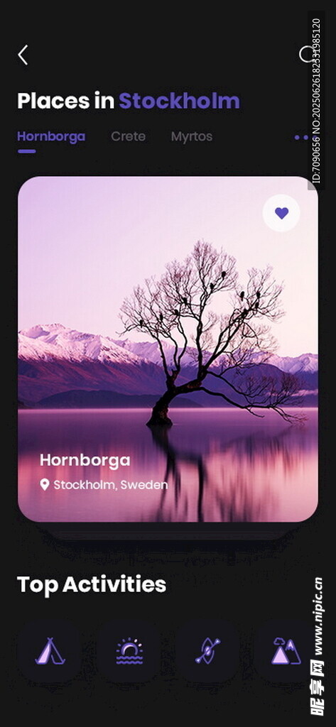 孤独树影下的梦幻湖景