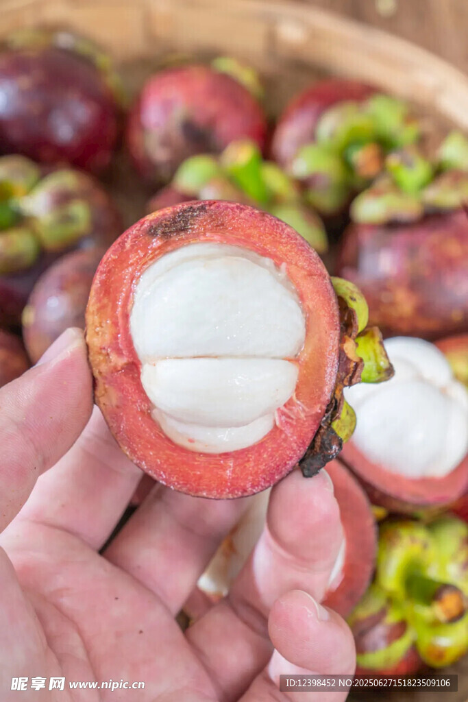 山竹